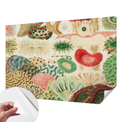 3D fototapet Organiska former