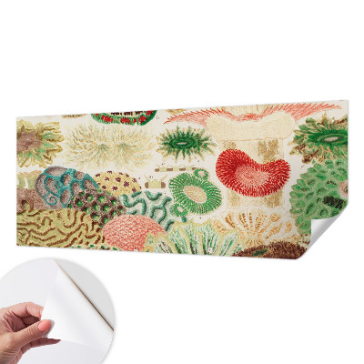 3D fototapet Organiska former