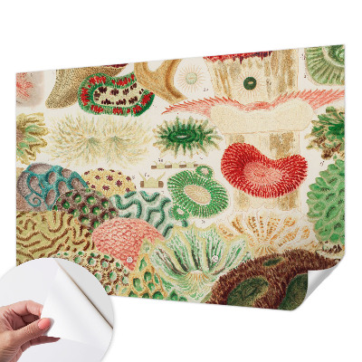 3D fototapet Organiska former