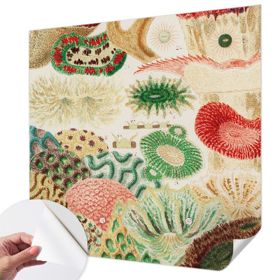 3D fototapet Organiska former