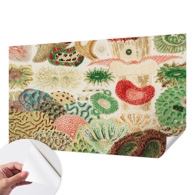 3D fototapet Organiska former