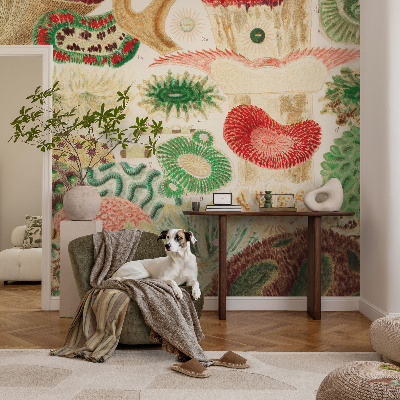 3D fototapet Organiska former