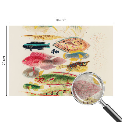 Fototapet barn Färgglada fiskar