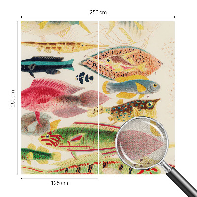 Fototapet barn Färgglada fiskar