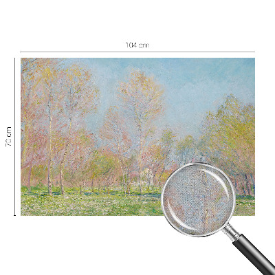 Fototapet för barn Vårparken