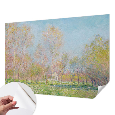 Fototapet för barn Vårparken