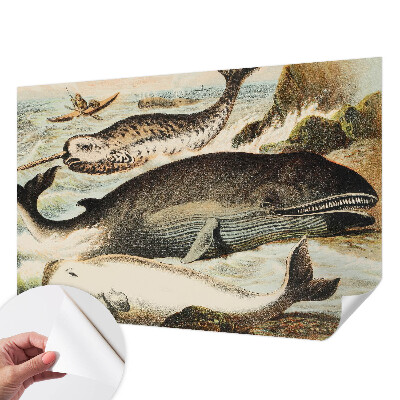 Fototapet barn Havsjättar