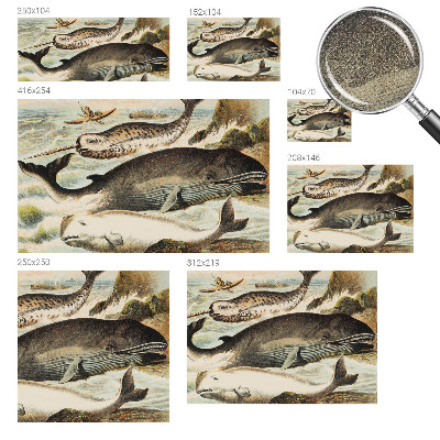 Fototapet barn Havsjättar