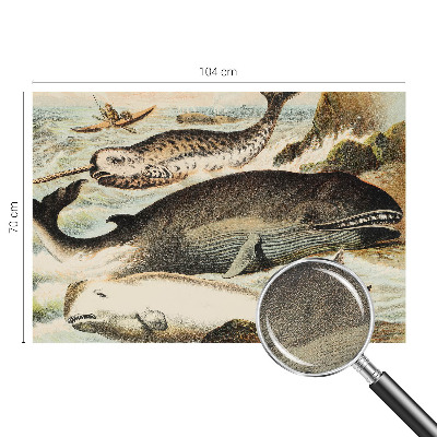 Fototapet barn Havsjättar