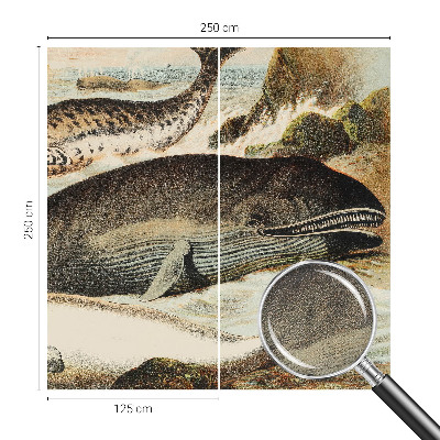 Fototapet barn Havsjättar