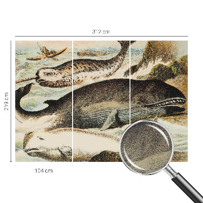 Fototapet barn Havsjättar