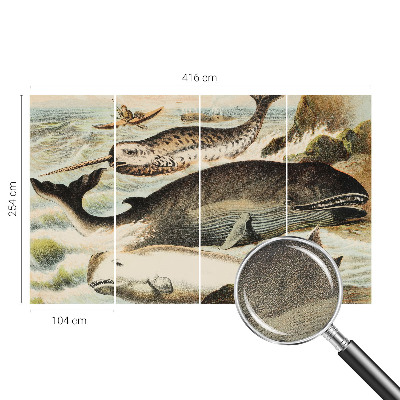 Fototapet barn Havsjättar