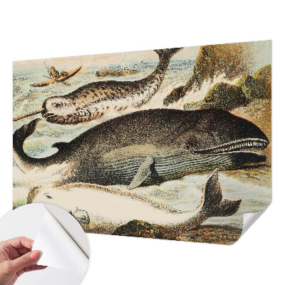 Fototapet barn Havsjättar