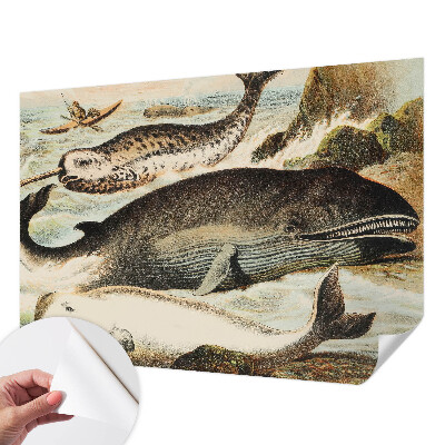 Fototapet barn Havsjättar