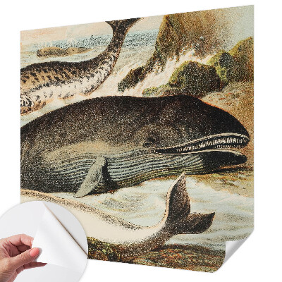 Fototapet barn Havsjättar