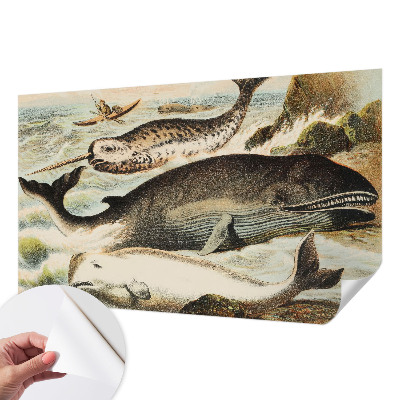 Fototapet barn Havsjättar