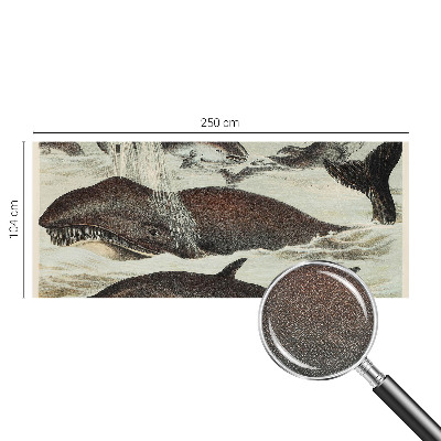 Fototapet barnrum Havsdjur