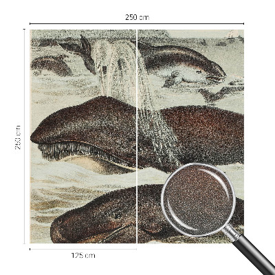 Fototapet barnrum Havsdjur