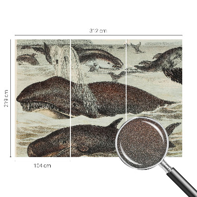 Fototapet barnrum Havsdjur