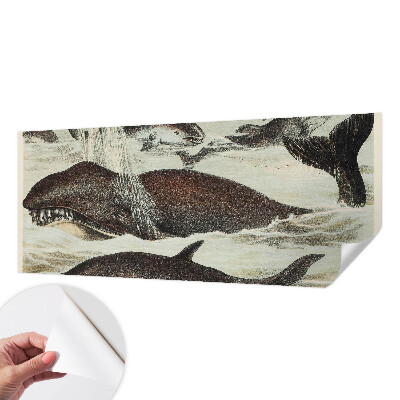 Fototapet barnrum Havsdjur