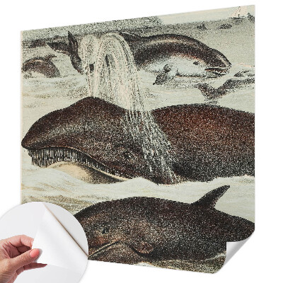 Fototapet barnrum Havsdjur