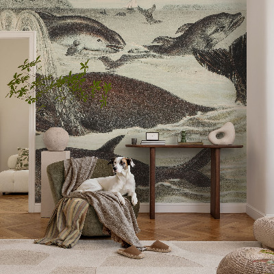 Fototapet barnrum med motiv av havsdjur