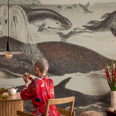 Fototapet barnrum med motiv av havsdjur