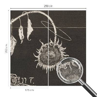 Självhäftande fotovägg Nostalgisk solros