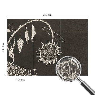 Självhäftande fotovägg Nostalgisk solros