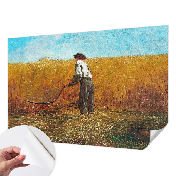 Fototapet barn Skörd i solen