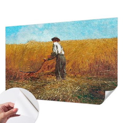 Fototapet barn Skörd i solen