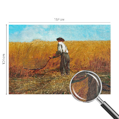 Fototapet barn Skörd i solen