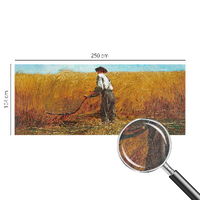 Fototapet barn Skörd i solen