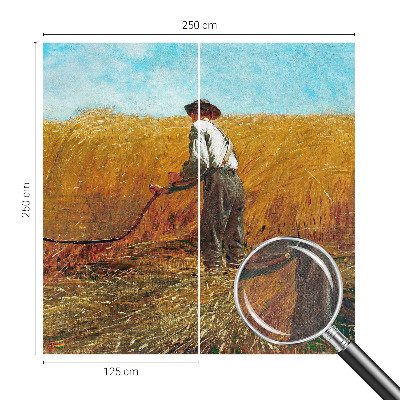 Fototapet barn Skörd i solen