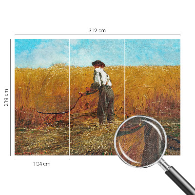 Fototapet barn Skörd i solen