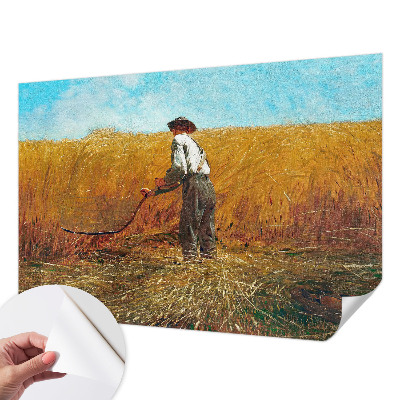 Fototapet barn Skörd i solen