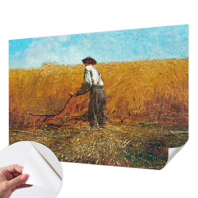 Fototapet barn Skörd i solen