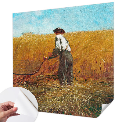 Fototapet barn Skörd i solen