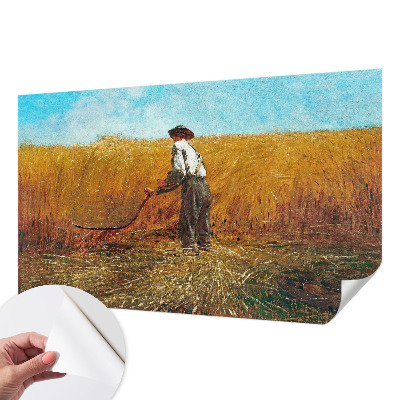 Fototapet barn Skörd i solen