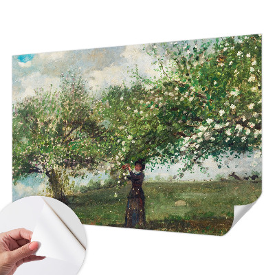 Självhäftande fototapet Vårscen