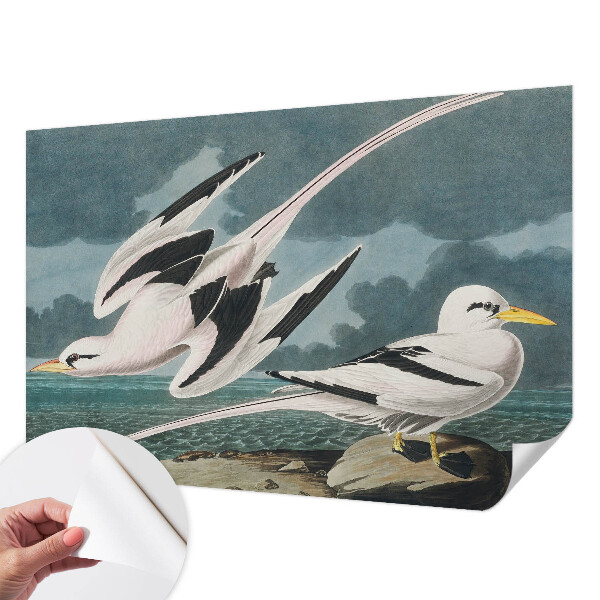 3D fototapet Fåglar vid havet