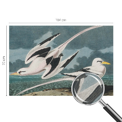 3D fototapet med motiv av fåglar vid havet