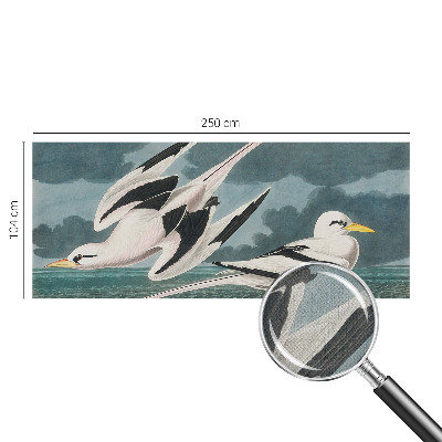 3D fototapet med motiv av fåglar vid havet