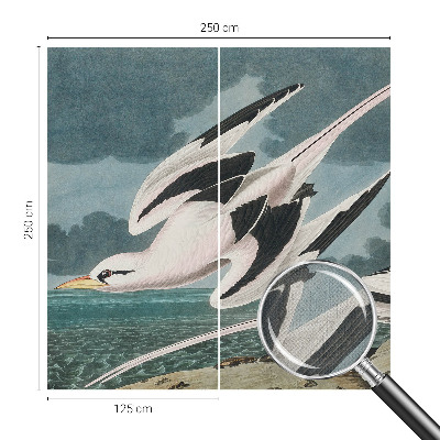3D fototapet med motiv av fåglar vid havet