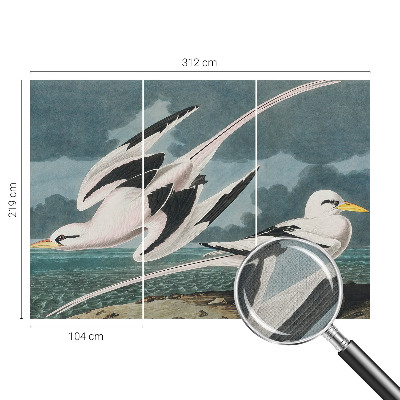 3D fototapet med motiv av fåglar vid havet