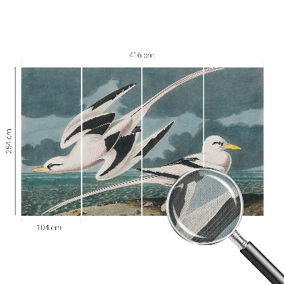 3D fototapet med motiv av fåglar vid havet