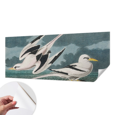 3D fototapet med motiv av fåglar vid havet