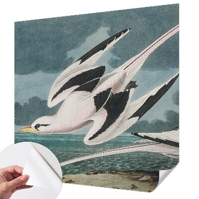 3D fototapet med motiv av fåglar vid havet