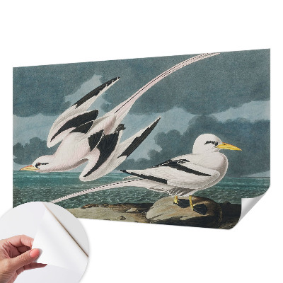 3D fototapet med motiv av fåglar vid havet