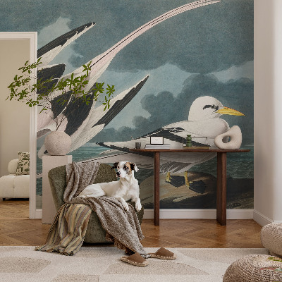 3D fototapet Fåglar vid havet